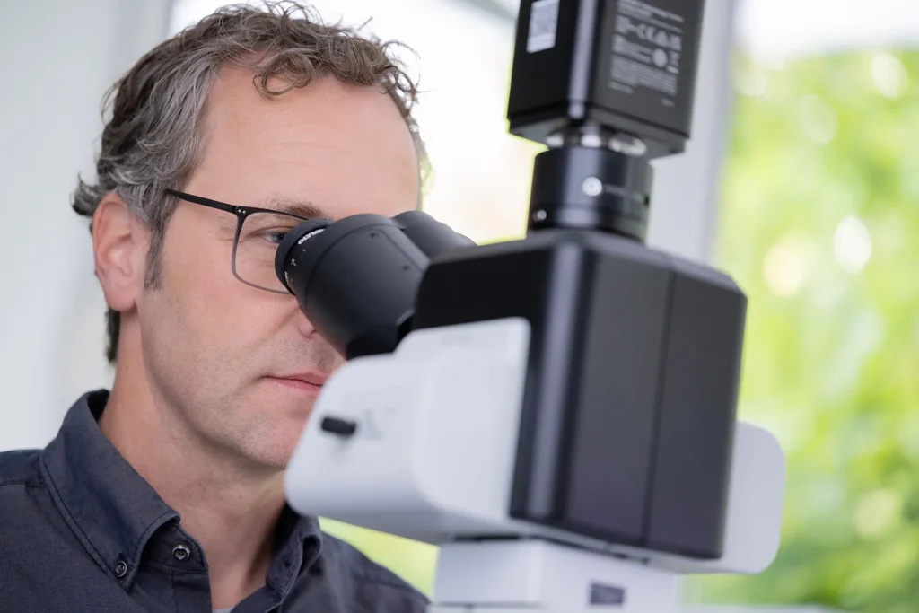 Übersicht moderner Diagnoseverfahren der Prostata